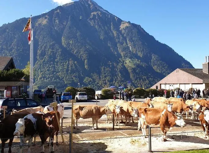 Апартаменты White In Aeschi Bei Spiez