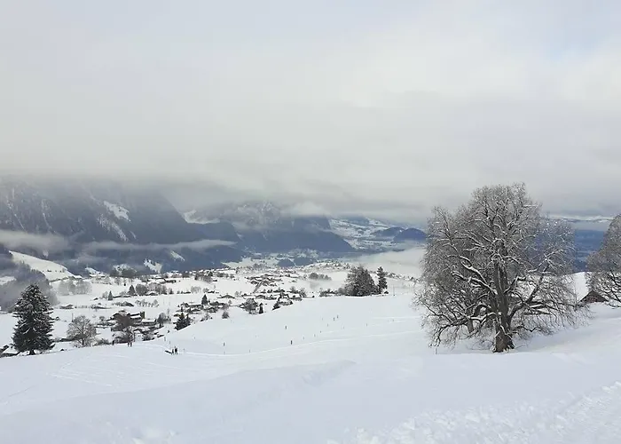 White In Appartamento *