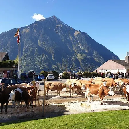 شقة White In Aeschi Bei Spiez